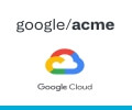 使用acme.sh和acme-dns申请Google免费泛域名SSL证书