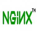 Nginx中配置自定义header存在问题